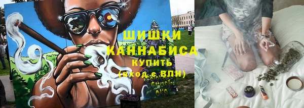 стаф Волосово