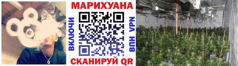 как найти наркотики  Волхов  Канабис планчик 